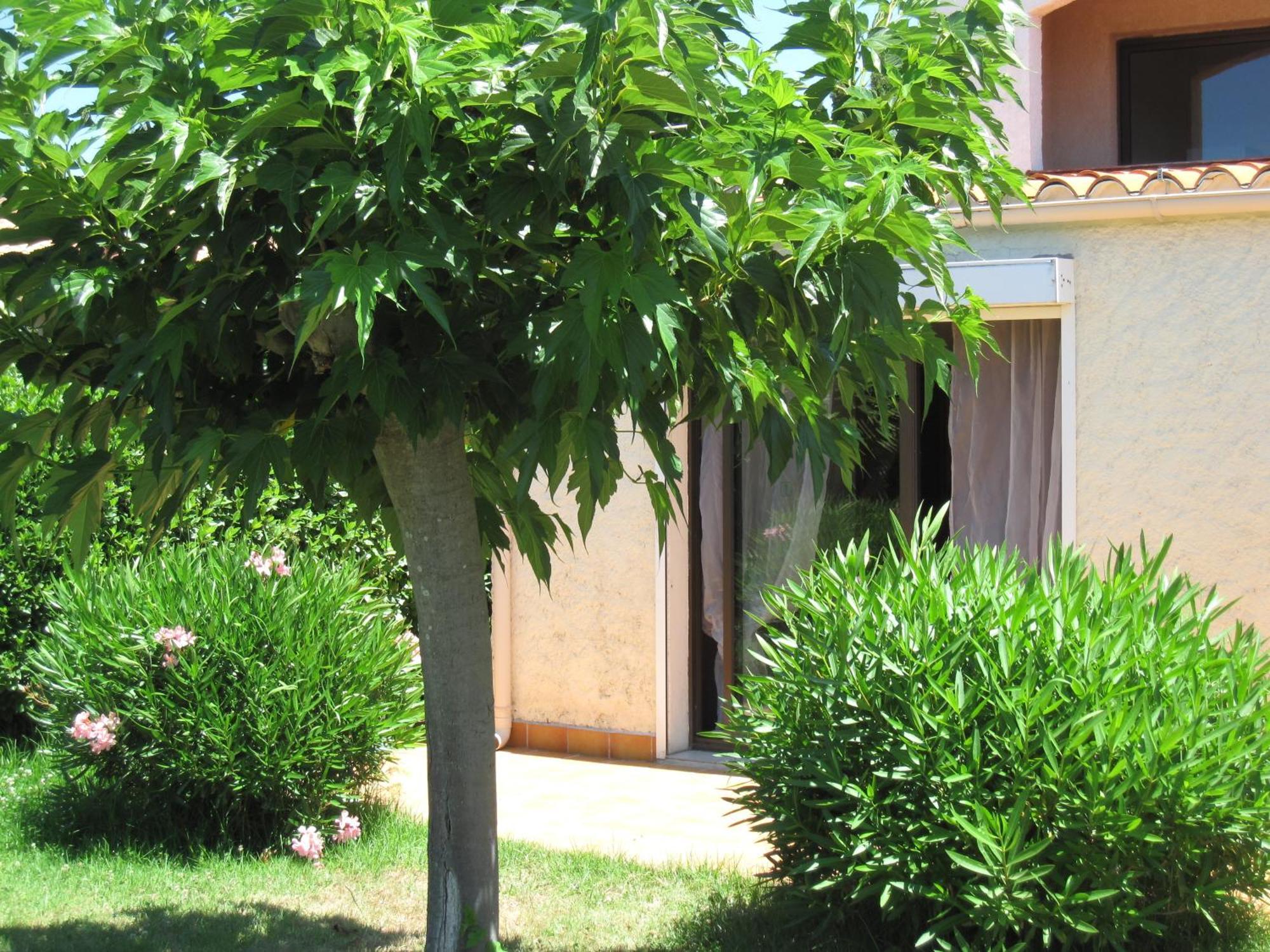 Residence Les Bell'Ombres Cargèse Zewnętrze zdjęcie